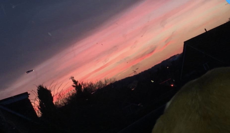 01-02-2019 Cheadle, UK