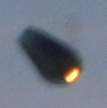 Cropped - Enlarged