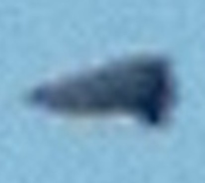 Cropped Enlarged
