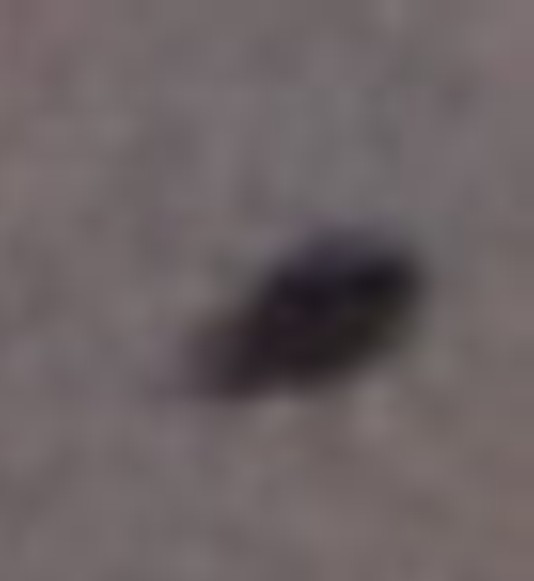 2nd unidentified enlarged
