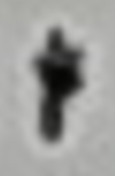 Detail cropped, enlarged