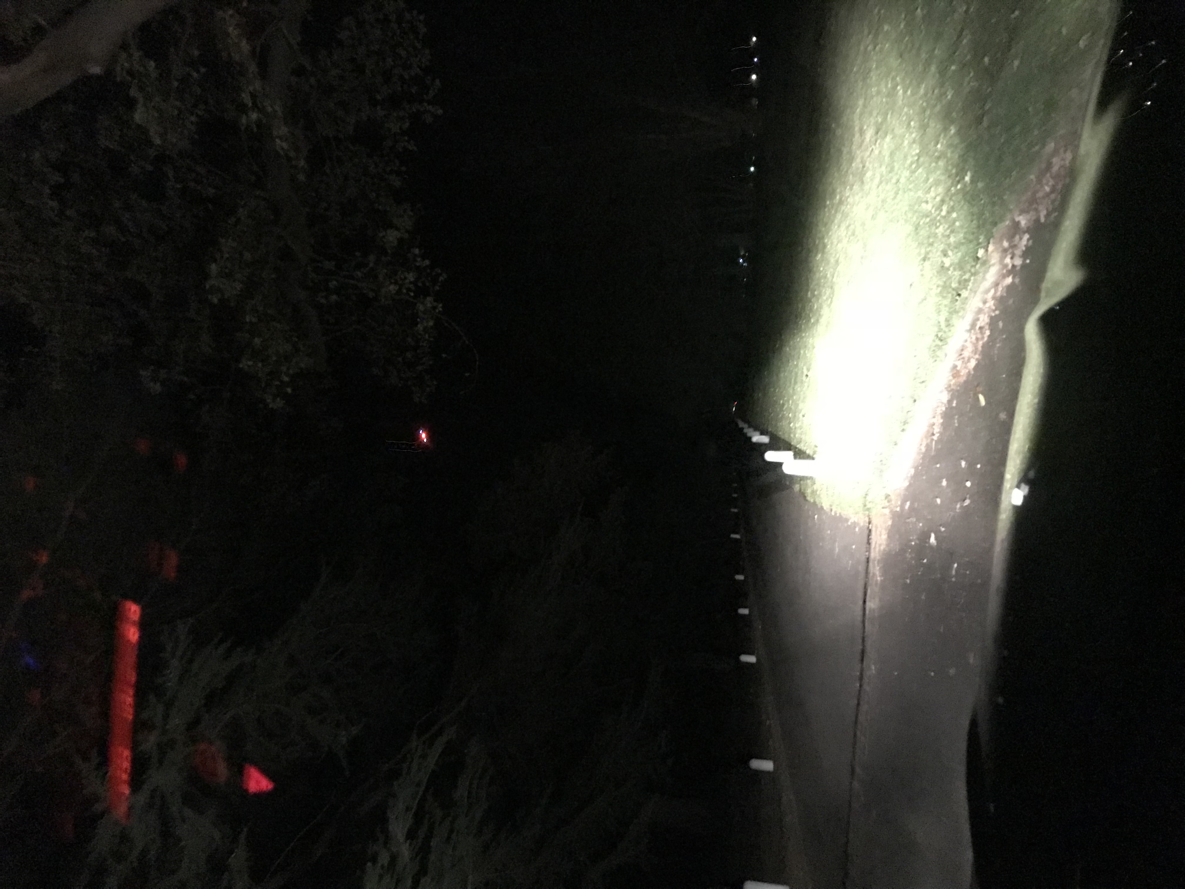 Original image from this case