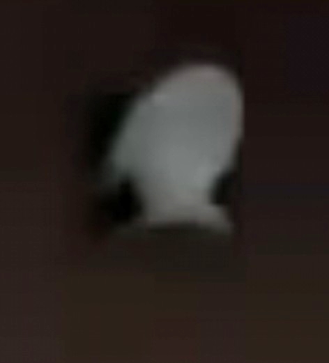 Object in negative