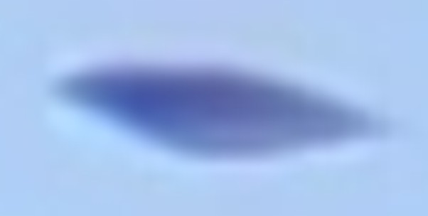 Crop enlarged