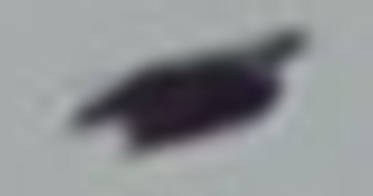 Zoomed enlargement