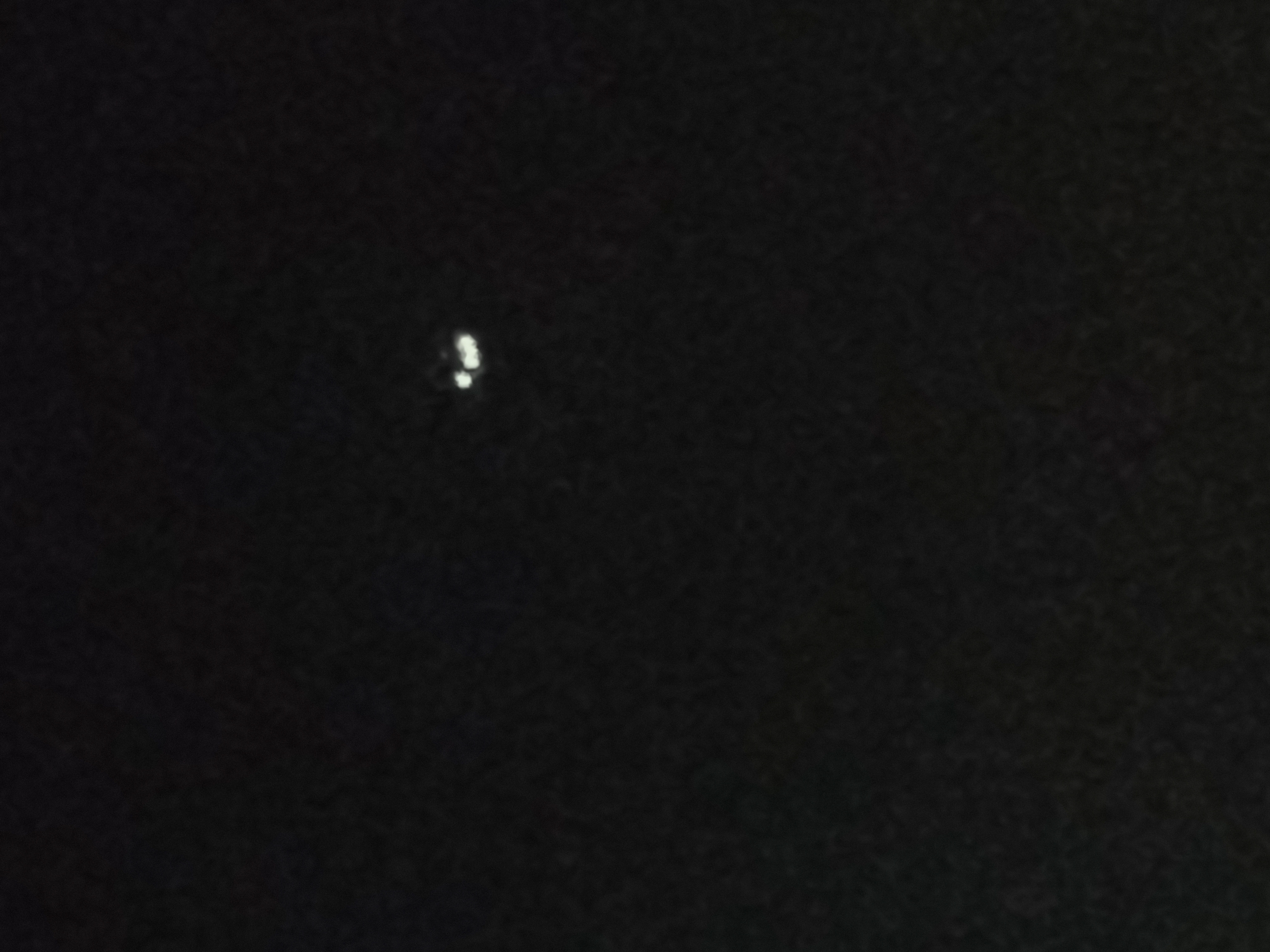 still photo 2