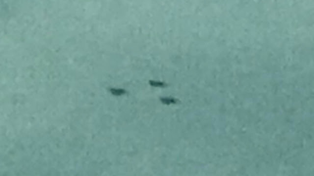 zoomed