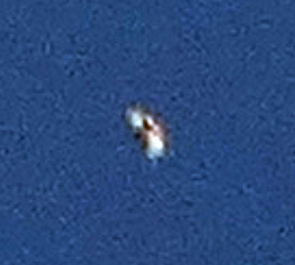 Object - brightness and contrast adjusted