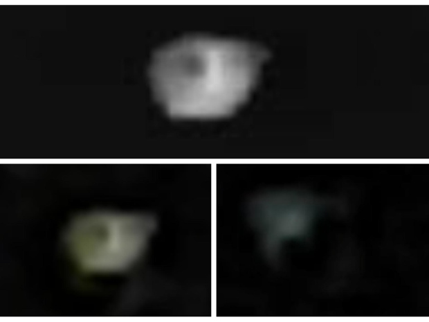 Images taken by witness