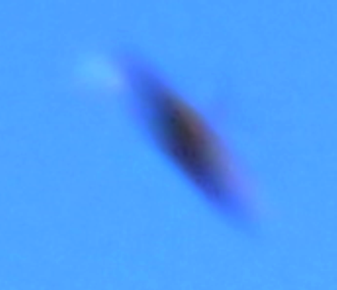 Crop enlarged
