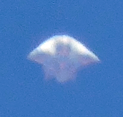 Cropped enlargement of phenomenon
