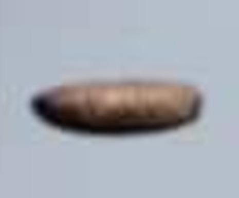 UFO/Crypto?