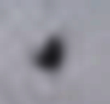 Cropped enlargment