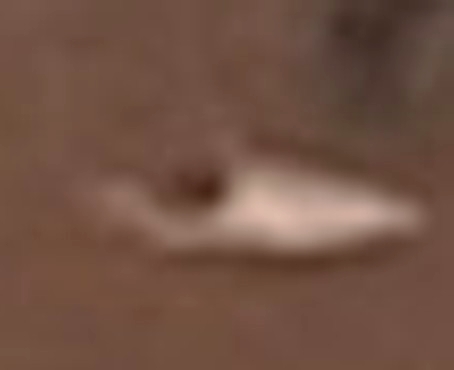 Neg