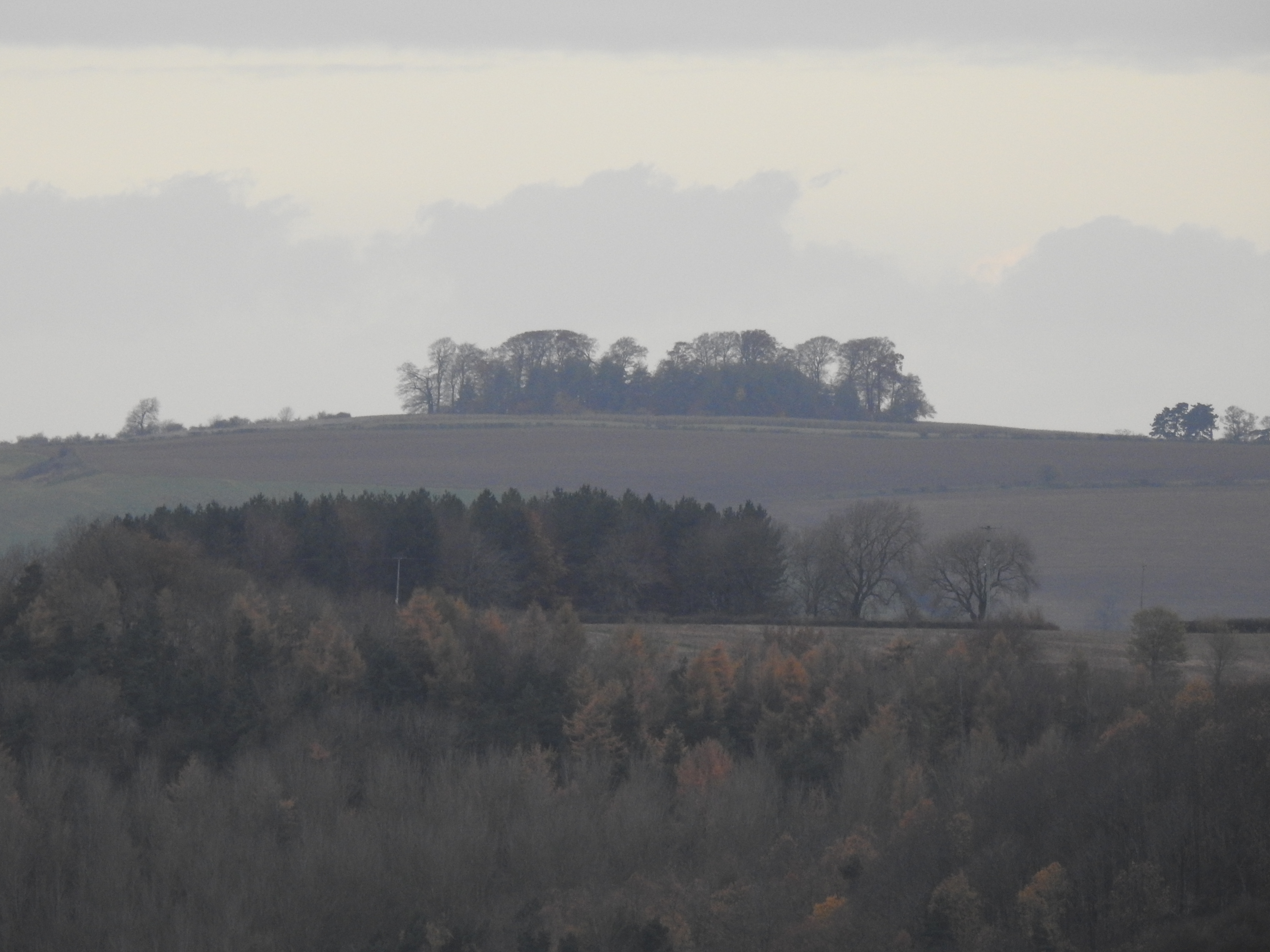Distant hilltop copse, as seen while looking out from just beyond the King Stone