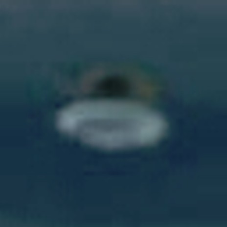 Cropped enlargement