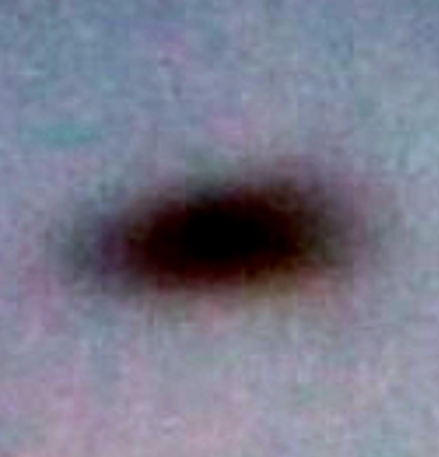 Black Object Captured at Airshow Enlargement