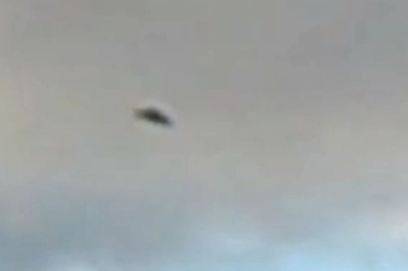 Saucer