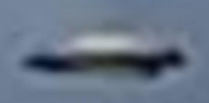 crop enlarged