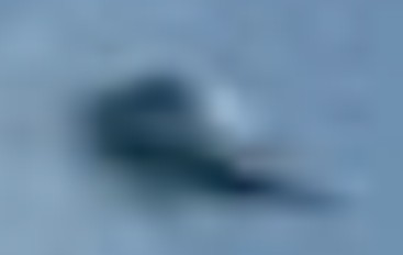 Crop Enlarged