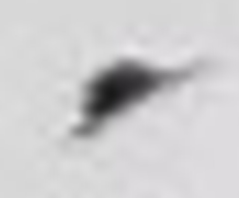 Cropped max enlarged