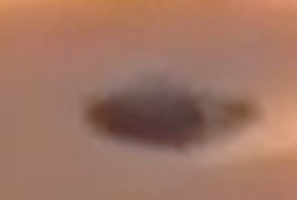 Crop Detail Enlarged