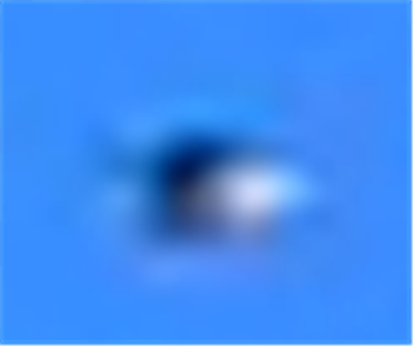 Aerial oddity