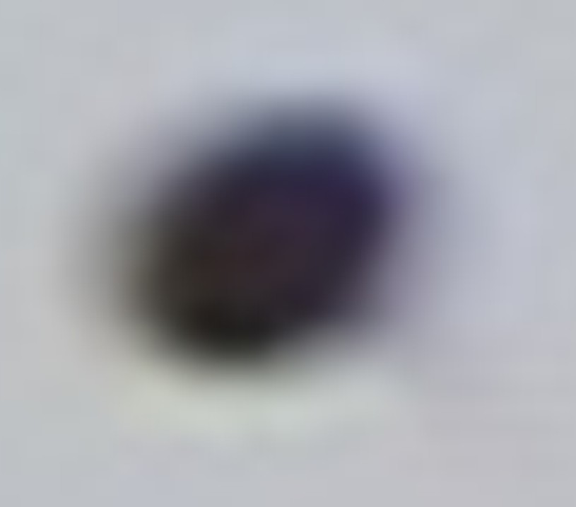 2 Cropped enlargement detail