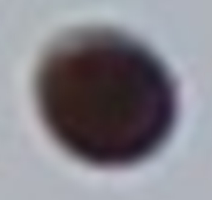 3 max enlargement