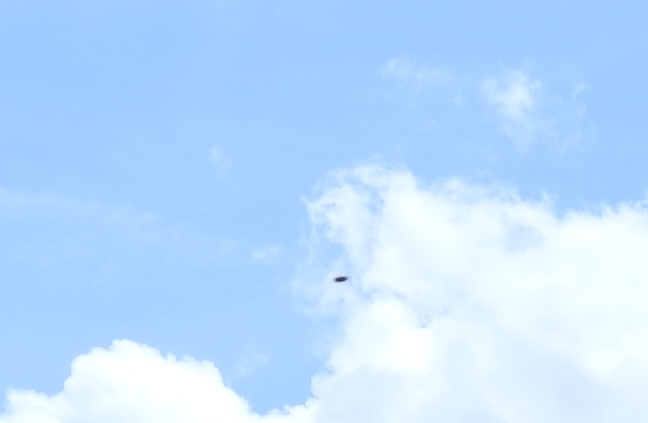 Enlarged