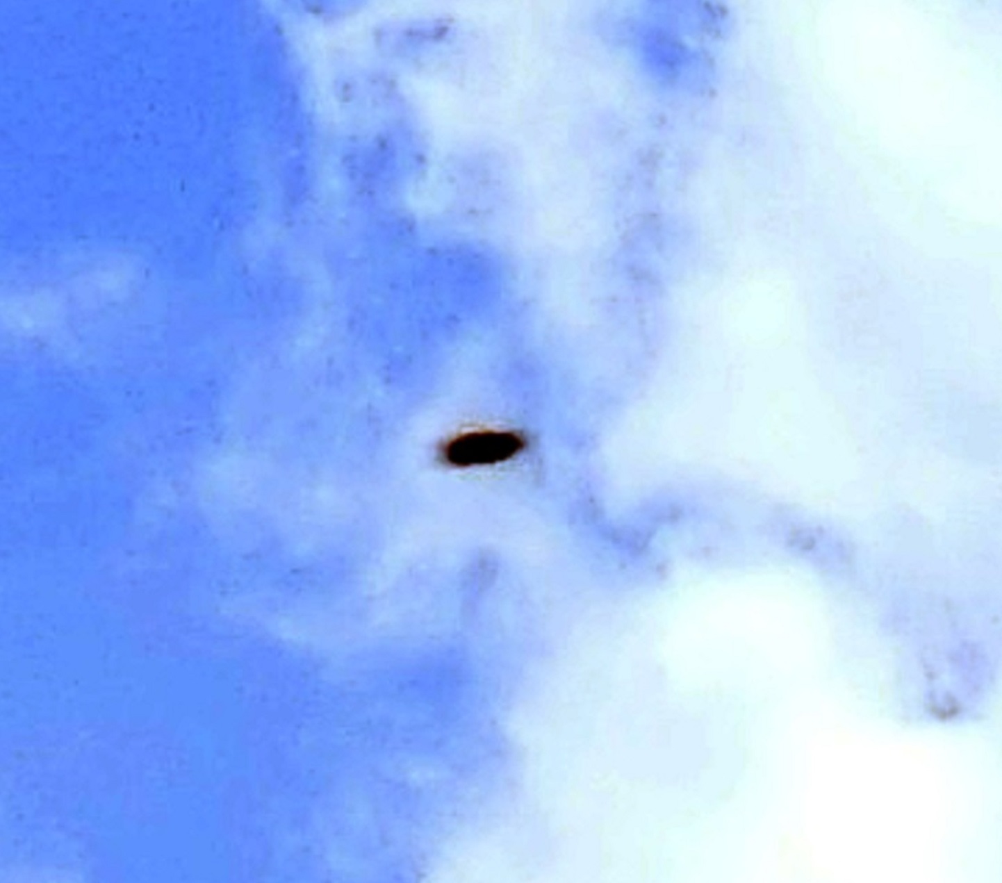 Further enlarged