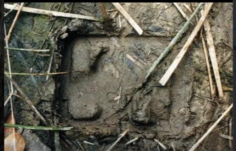 The strange landing marks and scorched grass that have puzzled UFO hunters
