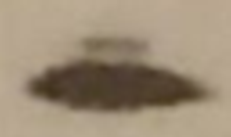 Cropped and Enlarged