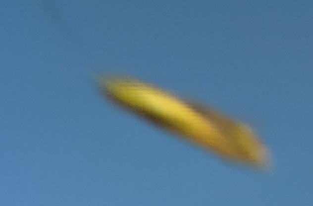 Cropped/Enlarged