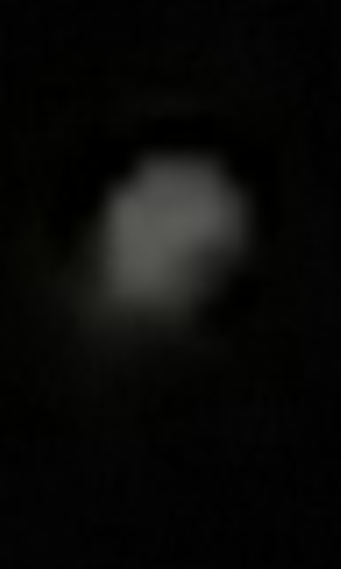 2. Zoomed image of detail