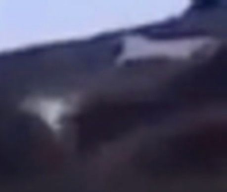 SS