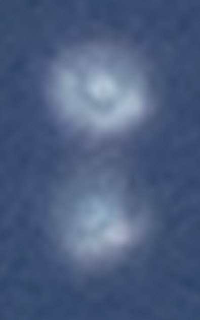 Enlarged/enhanced crop detail