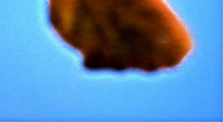UFO Photo: 20/01/2016 - New Witness Catches Flying
