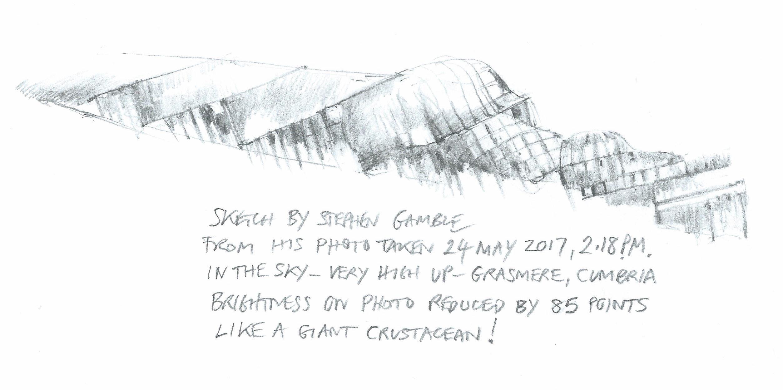 Witness sketch