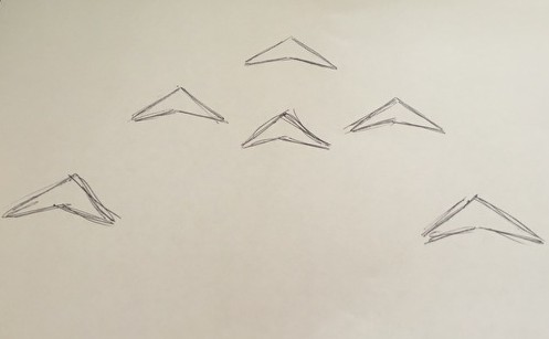 Witness drawing