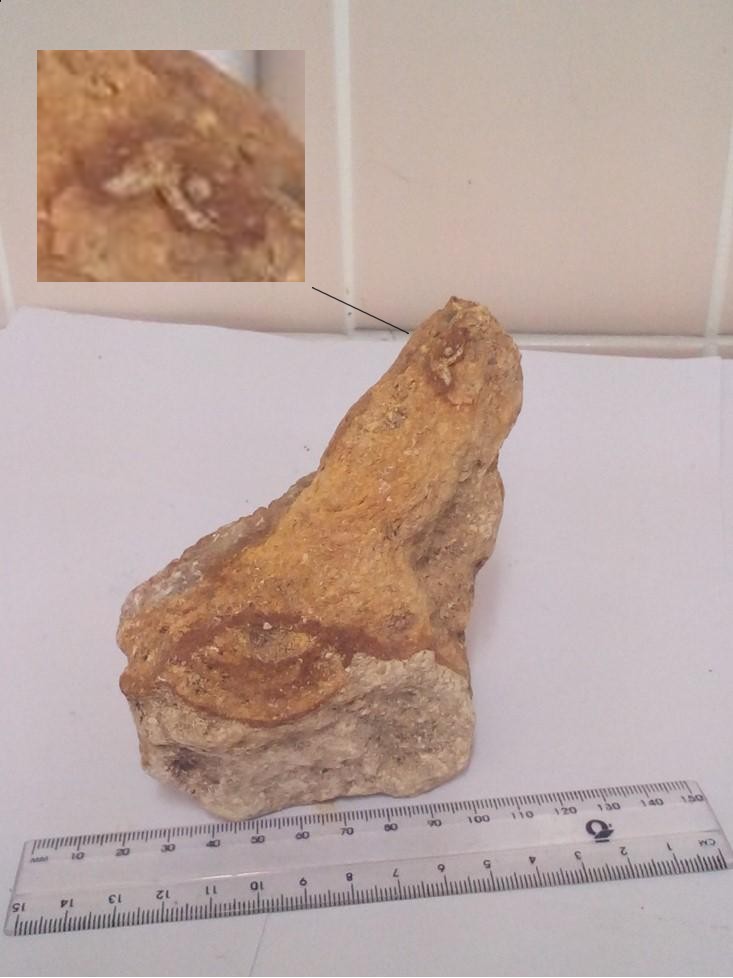 The Steyning Eye Stone Artifact
