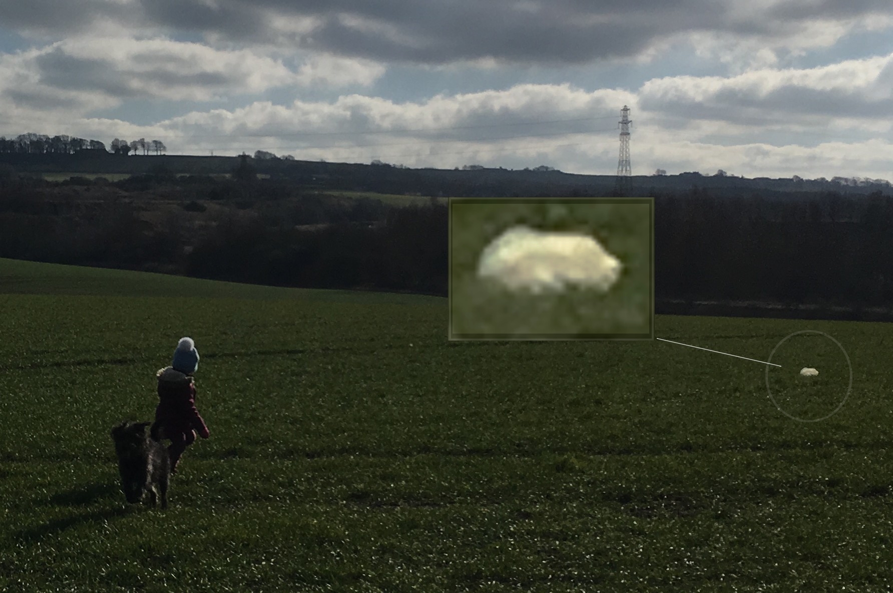Strange Object in Field Capture, Duckmanton North East Derbyshire, UK