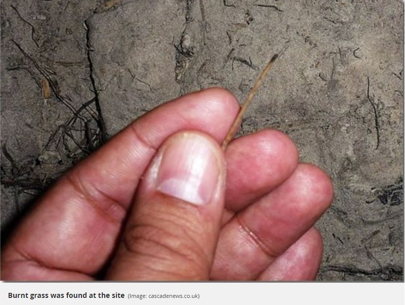 Burned grass