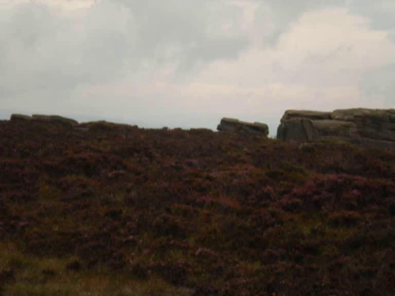 August 2011 Ilkley Aliens