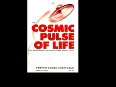 Trevor James Constable - Invisible UFOs