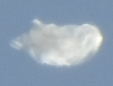 Cropped/Enlarged