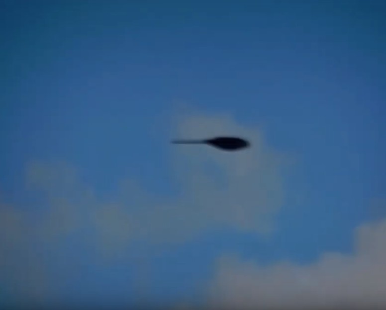 Another Sky Fish?