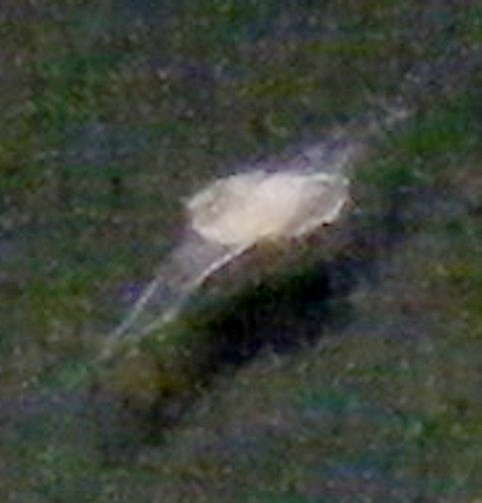 blow up of object