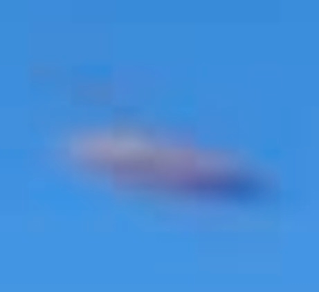 Cropped Enlargement