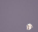 2 Object zoomed